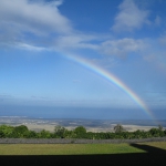 201810 rainbow.jpg